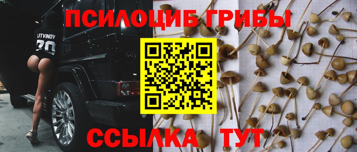 Псилоцибиновые грибы MAGIC MUSHROOMS Воскресенск