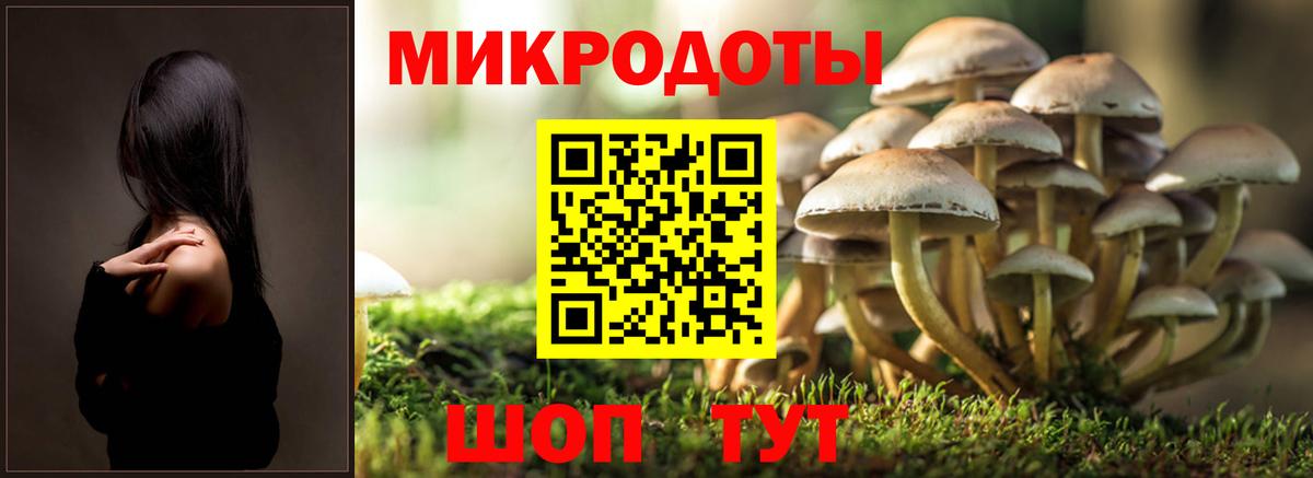 Псилоцибиновые грибы Cubensis  Вход с VPN  Воскресенск 